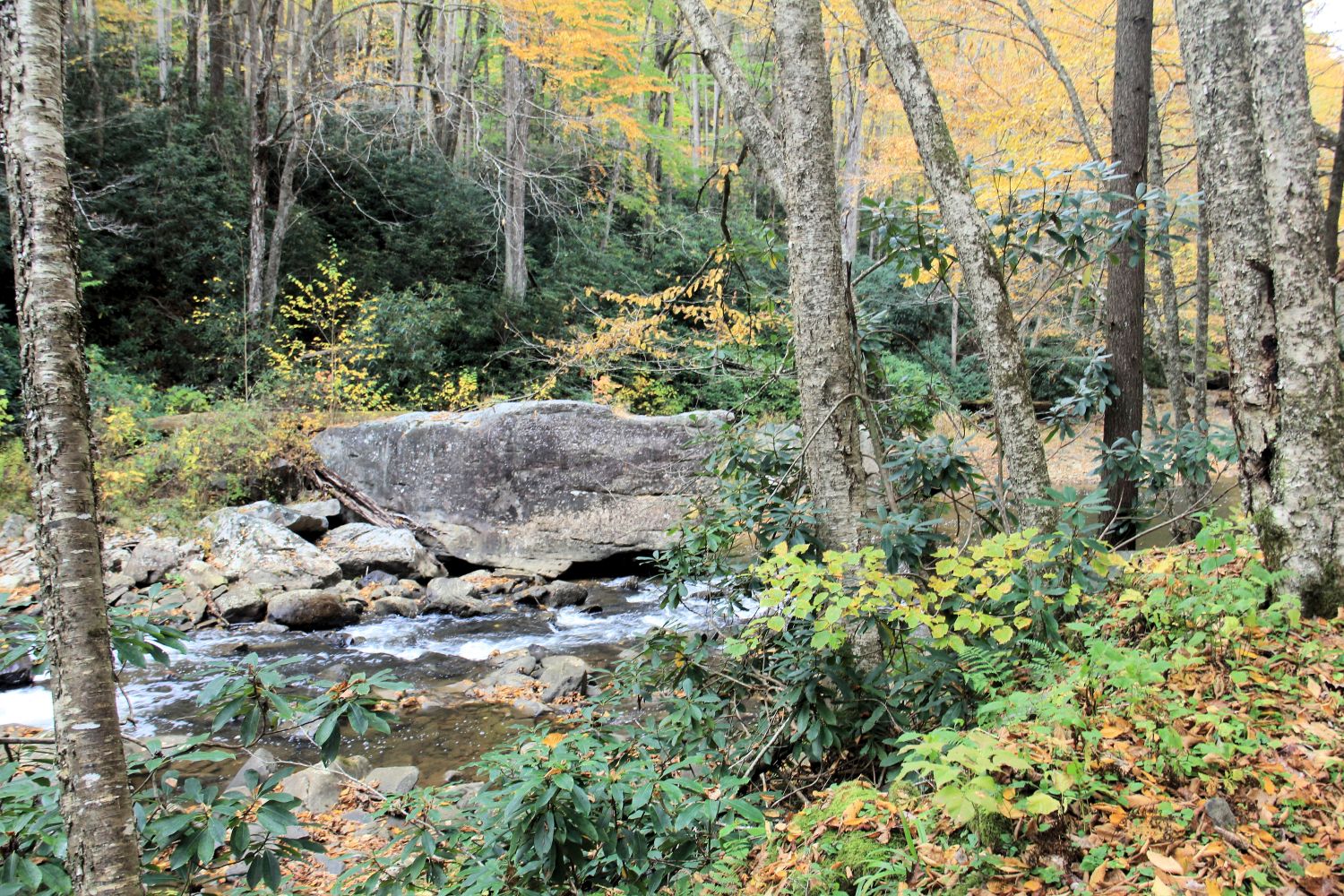 Glade Creek Trail 